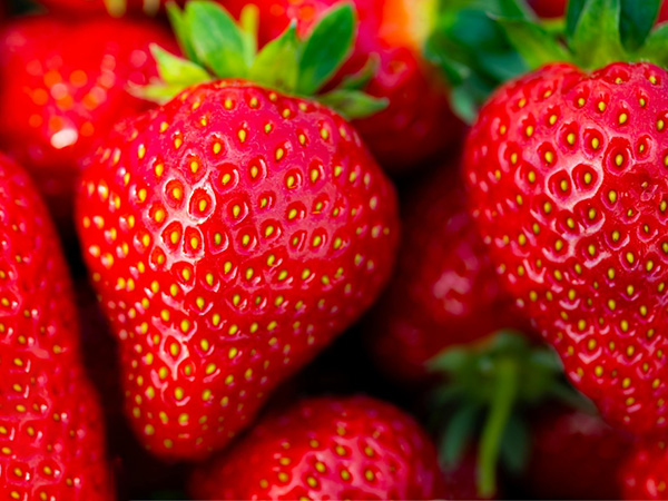 Pept&iacute;deos de Col&aacute;geno Ativos_04