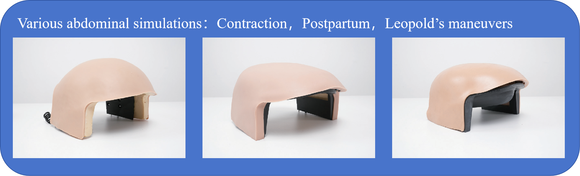 Le simulateur de naissance est &eacute;quip&eacute; de modules abdominaux interchangeables.