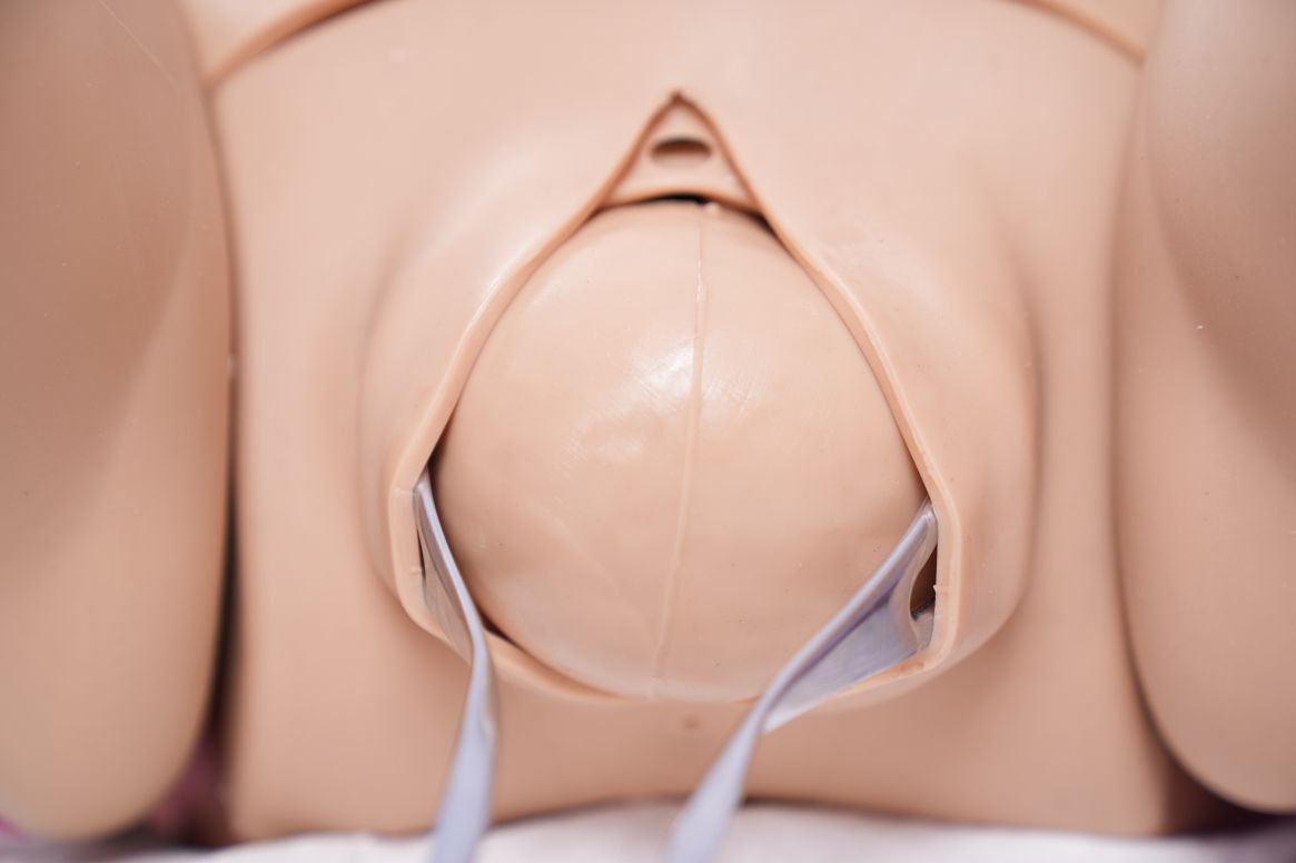 모듈식 질분만 시뮬레이터