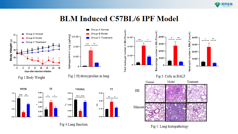 c88baa389e6460a8a7dae3a1388e42a