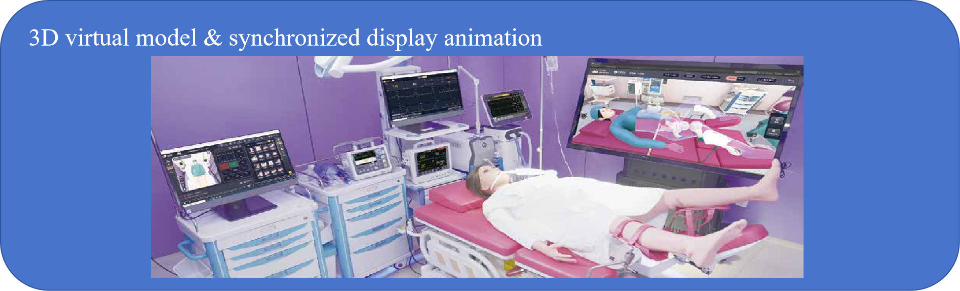 Le simulateur de naissance propose des mod&egrave;les virtuels 3D et des fonctions d'affichage d'animation synchronis&eacute;e.