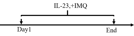 a7936acf4b7ec51852a4fdec8dcae00