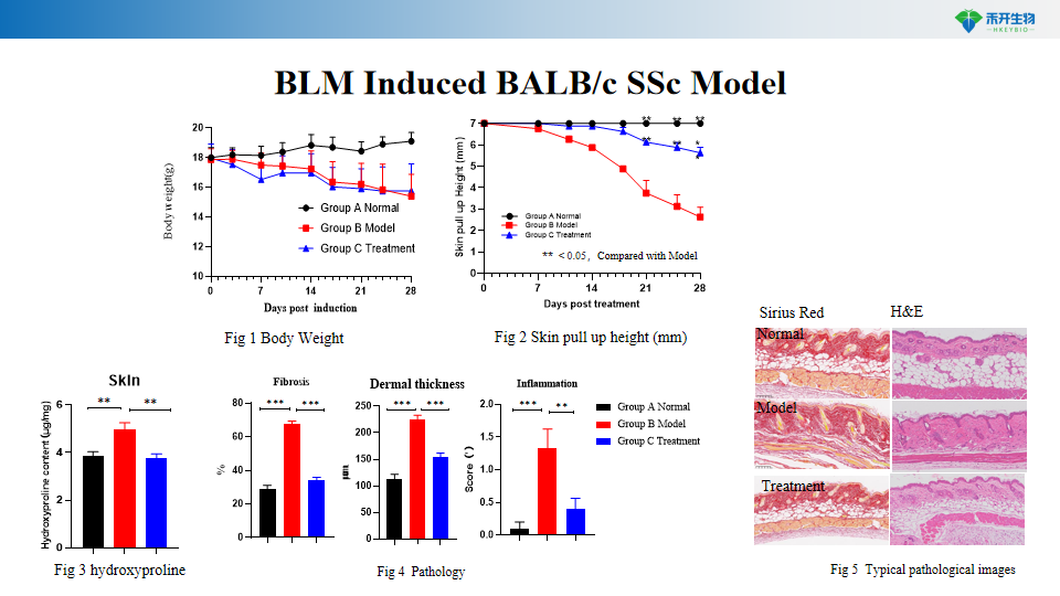 5fd167fe07d671aab7096388fa513d3