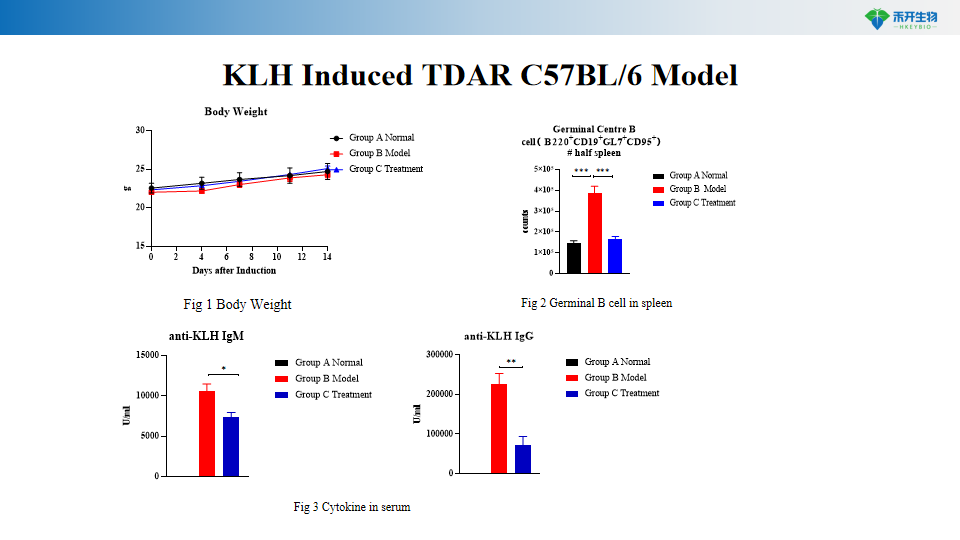 96a996821c2715083fed8ab3522b012