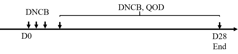 f45f9a13fee6093648ea53922d1d958