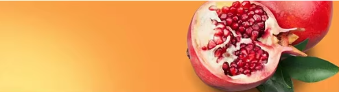 2e4751c36de9492b38f1e240173b532