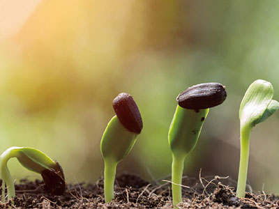 برنامه های کاربردی_01