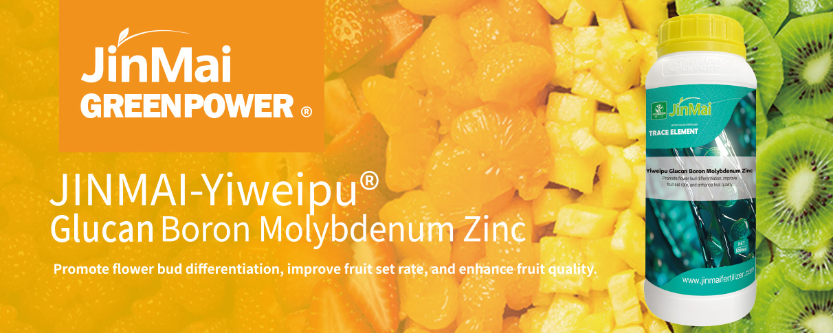 Fertilizante Glucano Boro Molibd&ecirc;nio Zinco_01