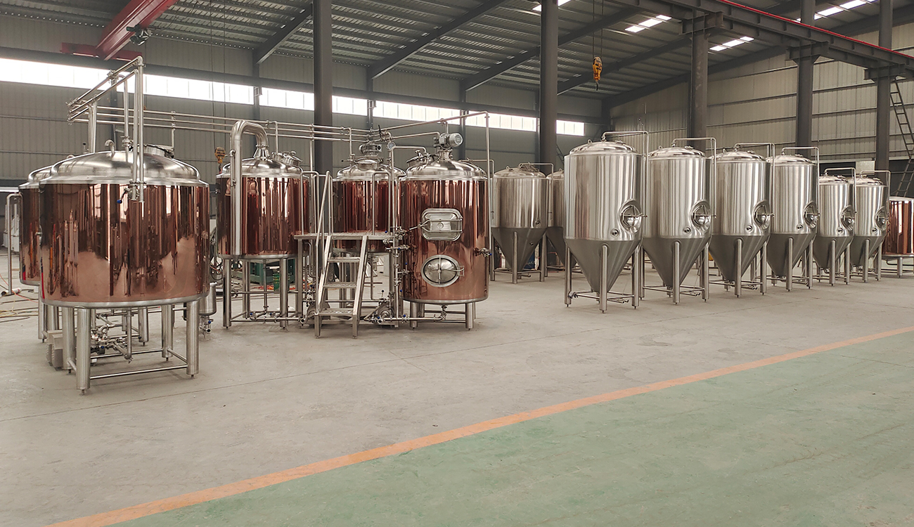 500L beer brewing equipment 500L Bierbrauanlage