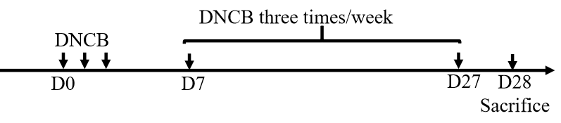 0d8bba54cf6daa71e6b5893faf4bfd6