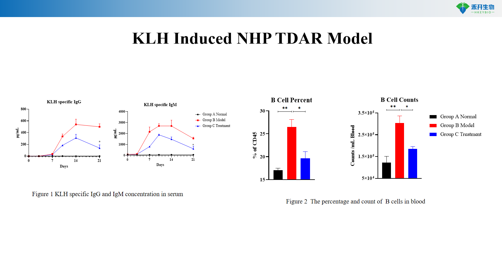 442b58e5ff8ee8e4a18dd8f49a4db946