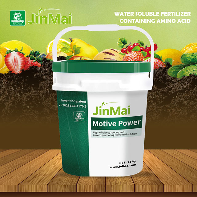 Solu&ccedil;&atilde;o de enraizamento e crescimento de alta efici&ecirc;ncia