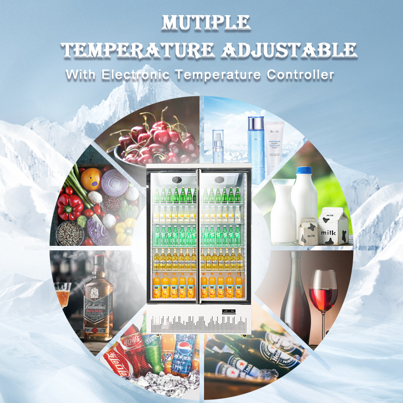 Empresa de enfriadores verticales de exhibici&oacute;n de bebidas