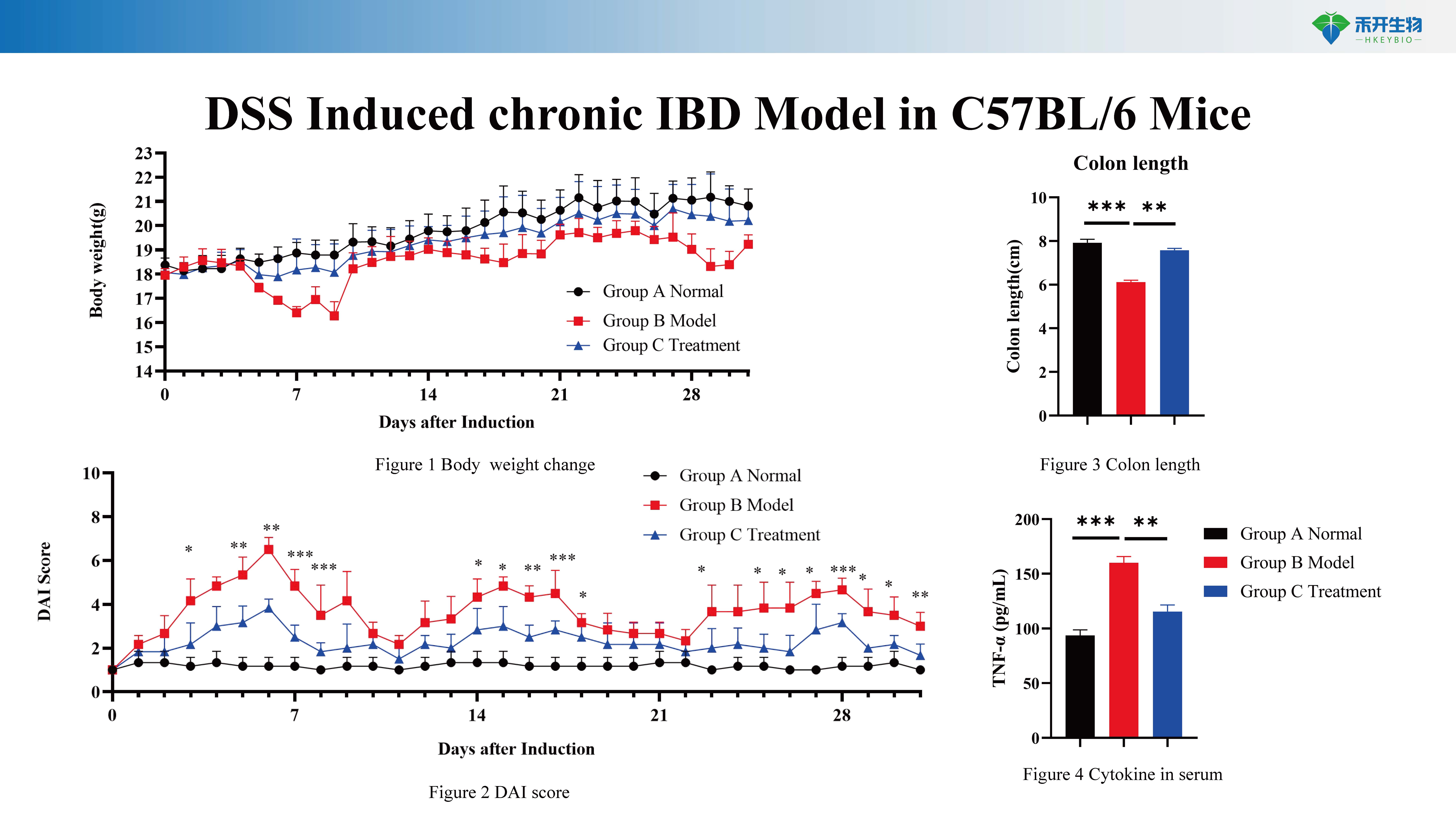 炎症性肠炎 IBD模型介绍 2024026_20240603150729_页面_2