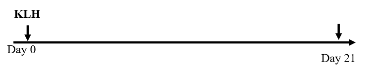 bc448cafc3c2835f166abfd1a26d508