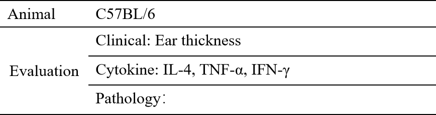 a8a49af18b785f7df04bb7ca40d203b