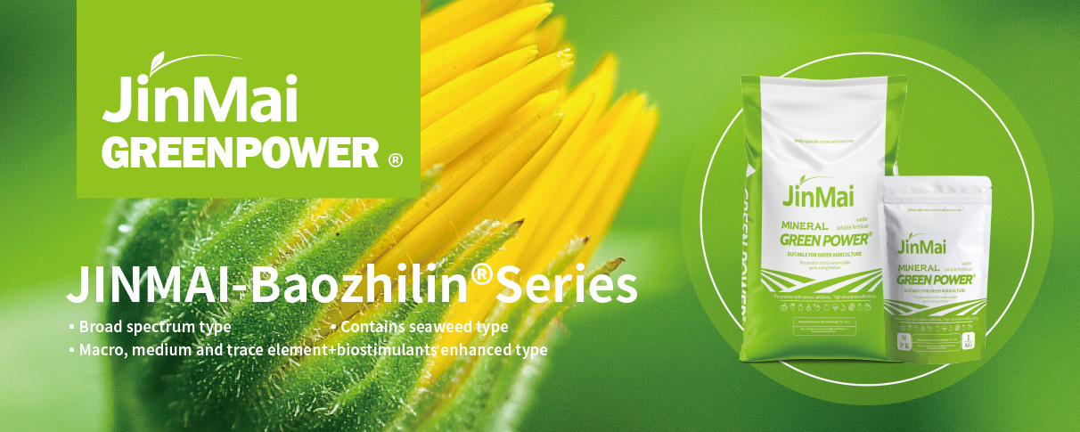 Engrais aux algues de type NPK_01