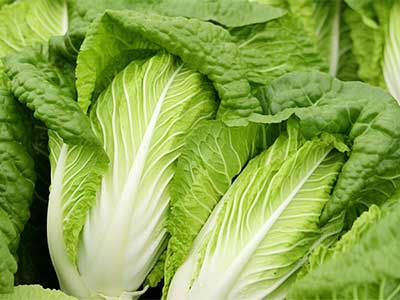 Engrais NPK &agrave; large spectre_10