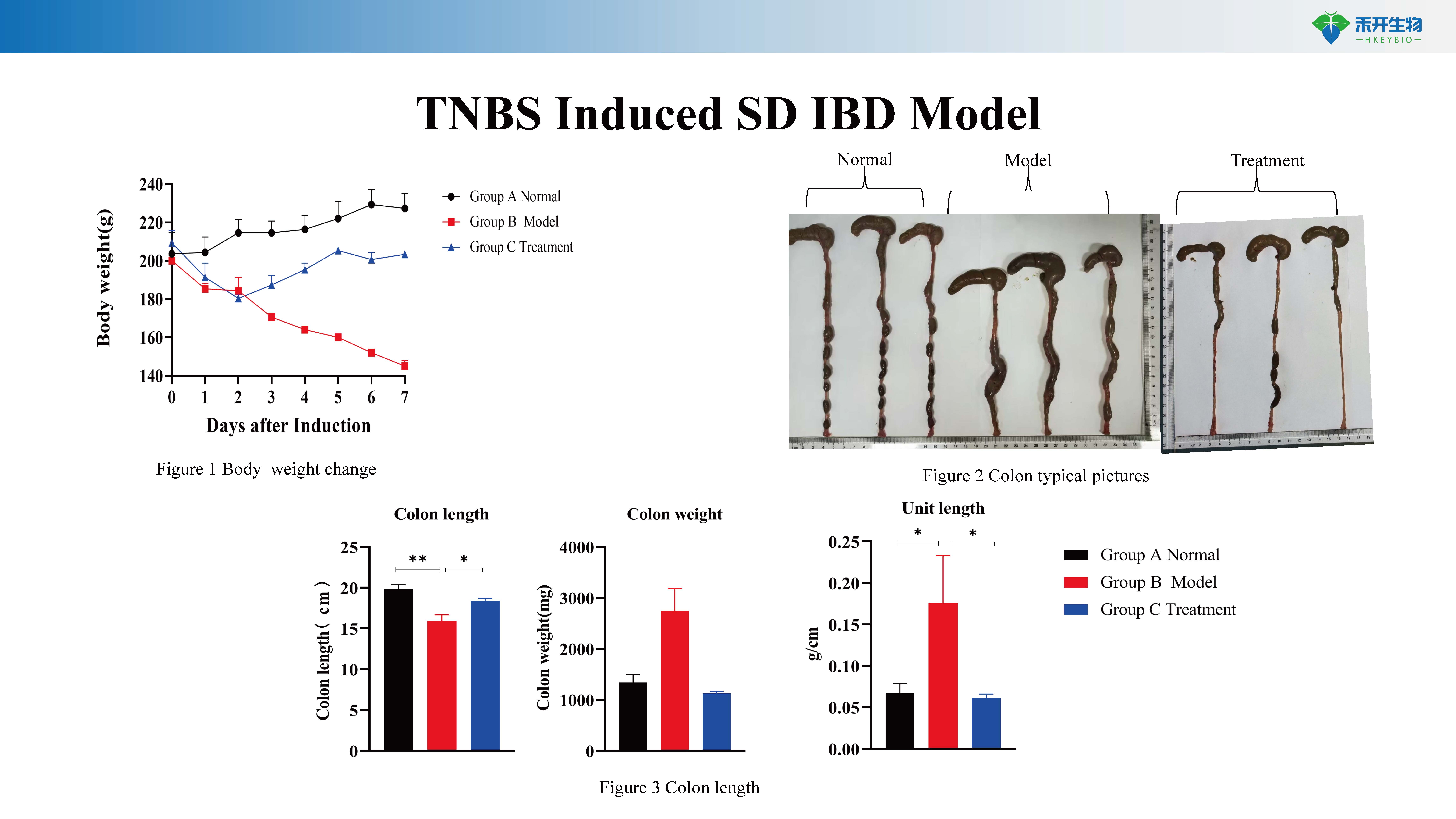 炎症性肠炎 IBD模型介绍 2024026_20240603150729_页面_4