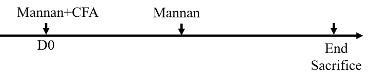 6b55ab1375b1a5d3ad8c2abc3724844