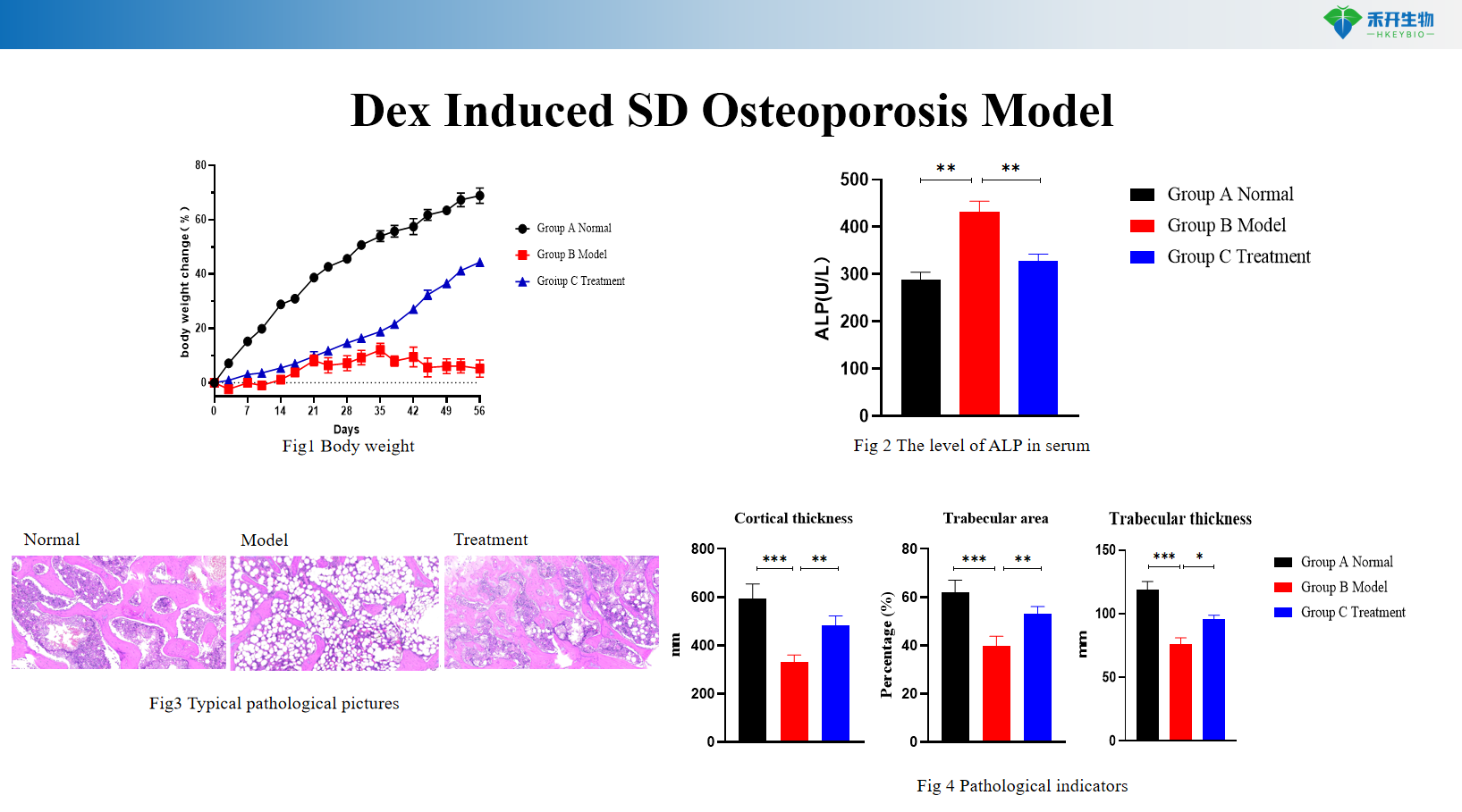 7ббб6ф12961910а6627747бд33бб3682