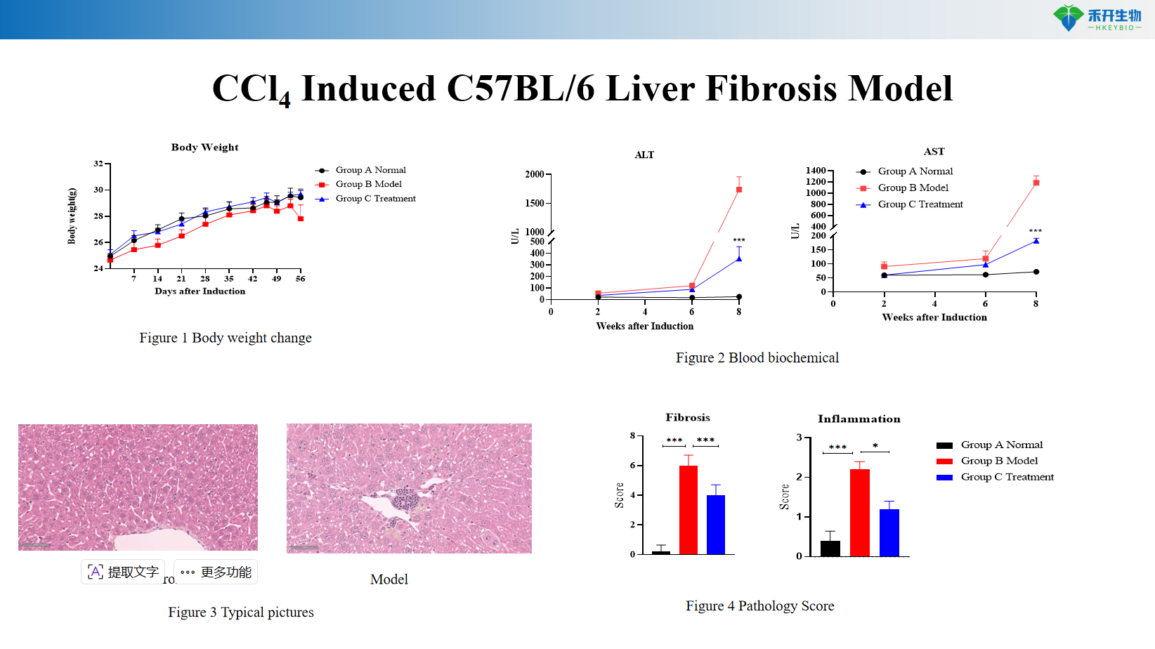 cf250666c69a8e42fb5ae8cdb707ee7c