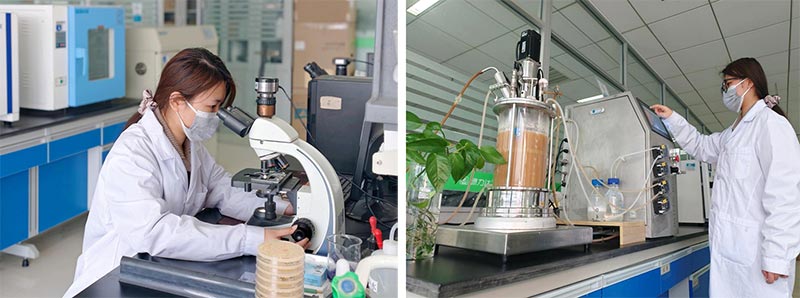 Jinmai Biotech укрепляет инновации в биопроизводстве и устойчивом сельском хозяйстве_01