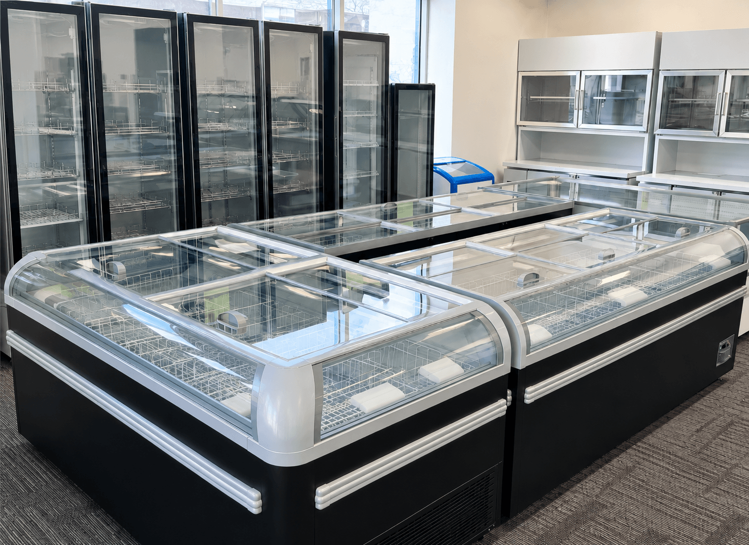 Low-E glass for cold chain equipment