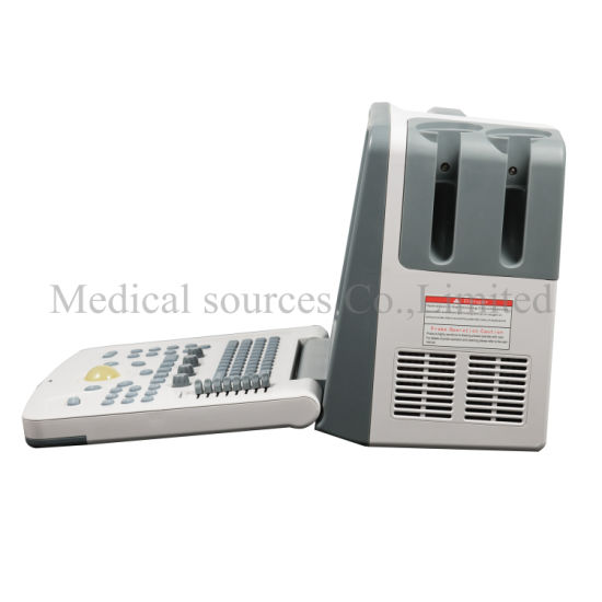 (MS-P800V) Escáner de ultrasonido digital veterinario para computadora portátil médica
