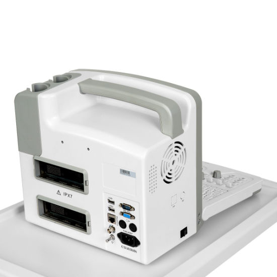 (MS-C5500) Scanner à ultrasons Doppler couleur 3D / cardiaque / vasculaire / Ob / Gyn portable 3D