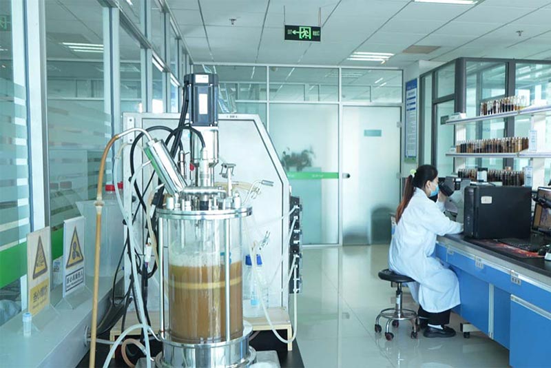 Von der Gentechnik zur industriellen Produktion – JINMAI Biotech erzielt Durchbruch bei der Herstellung von Chitosanase (CSN)_02.jpg